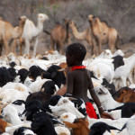 Pastoralisme