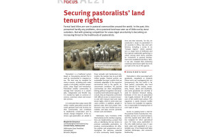 Securing pastoralists’ land tenure rights