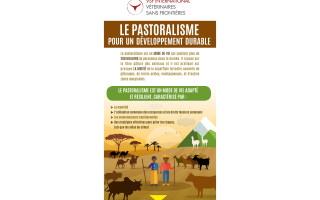 Infographie – Le pastoralisme pour un développement durable