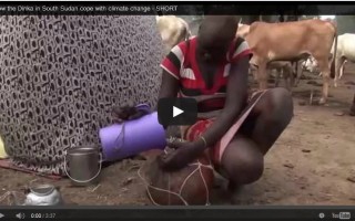 How the Dinka in South Sudan cope with climate change