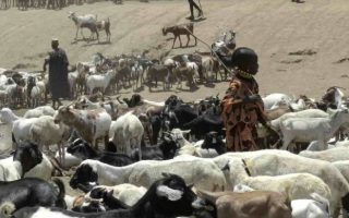 The path to greener pastures. Pastoralism, the backbone of the world’s drylands