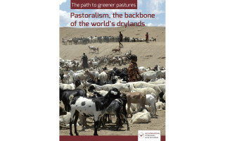 The path to greener pastures. Pastoralism, the backbone of the world’s drylands