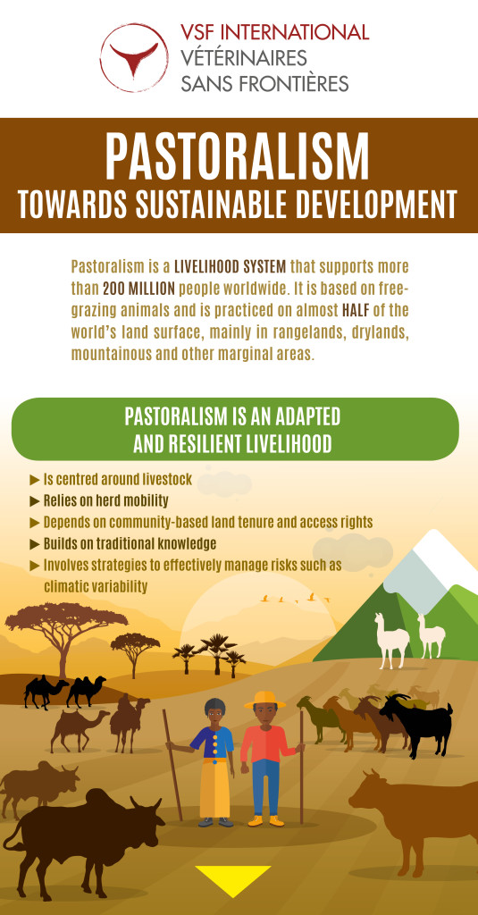Infographics – Pastoralism towards sustainable development