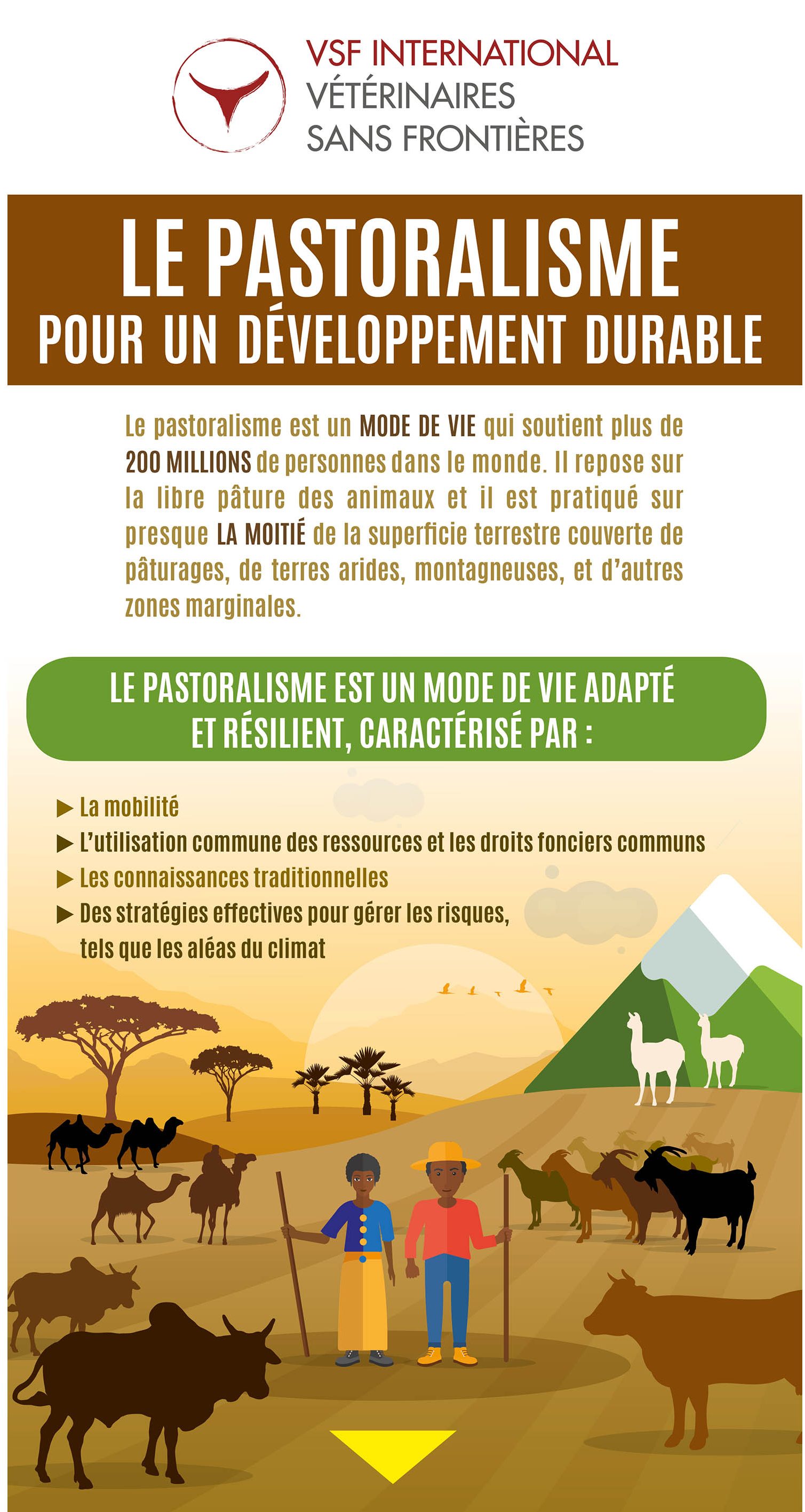 Infographie – Le pastoralisme pour un développement durable