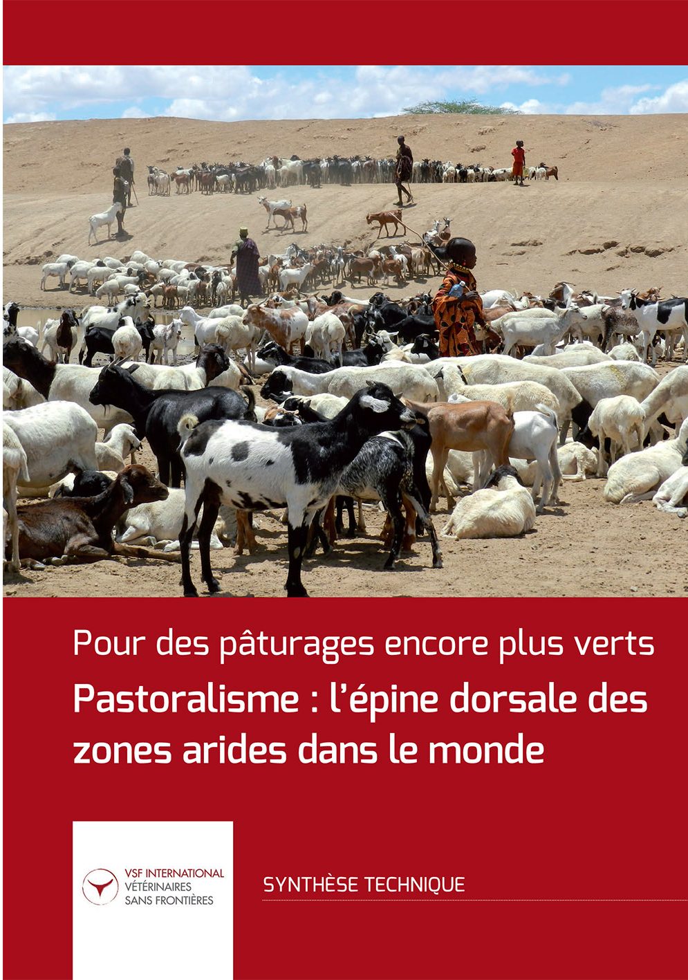 Pour des pâturages encore plus verts. Pastoralisme: l’épine dorsale des zones arides dans le monde