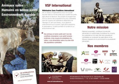 VSF International en quelques mots
