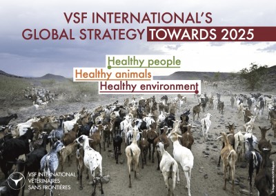 VSF International’s global strategy towards 2025