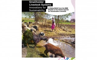 Smallholder Livestock Systems – Innovations for Sustainability