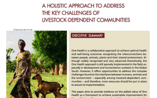 One Health implementation in the Global South: a holistic approach to address the key challenges of livestock-dependent communities
