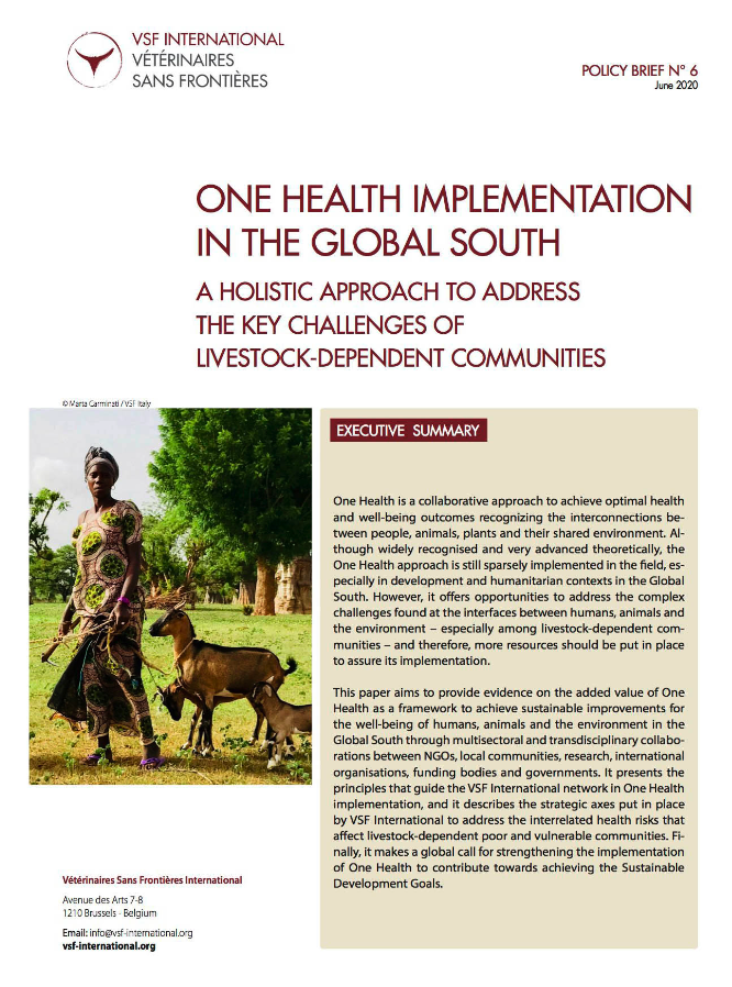 One Health implementation in the Global South: a holistic approach to address the key challenges of livestock-dependent communities