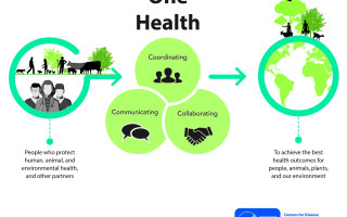 3 ways animal health is vital to One Health