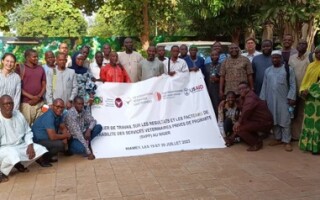 A successful validation workshop to close the case study on CAHWs in Niger