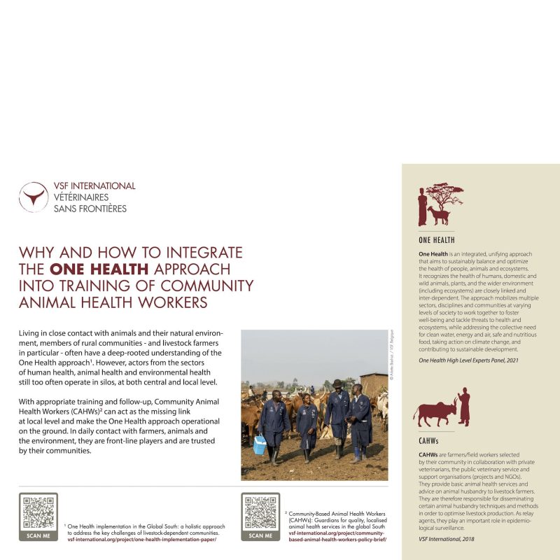 Why and how to integrate the One Health approach into training of Community Animal Health Workers