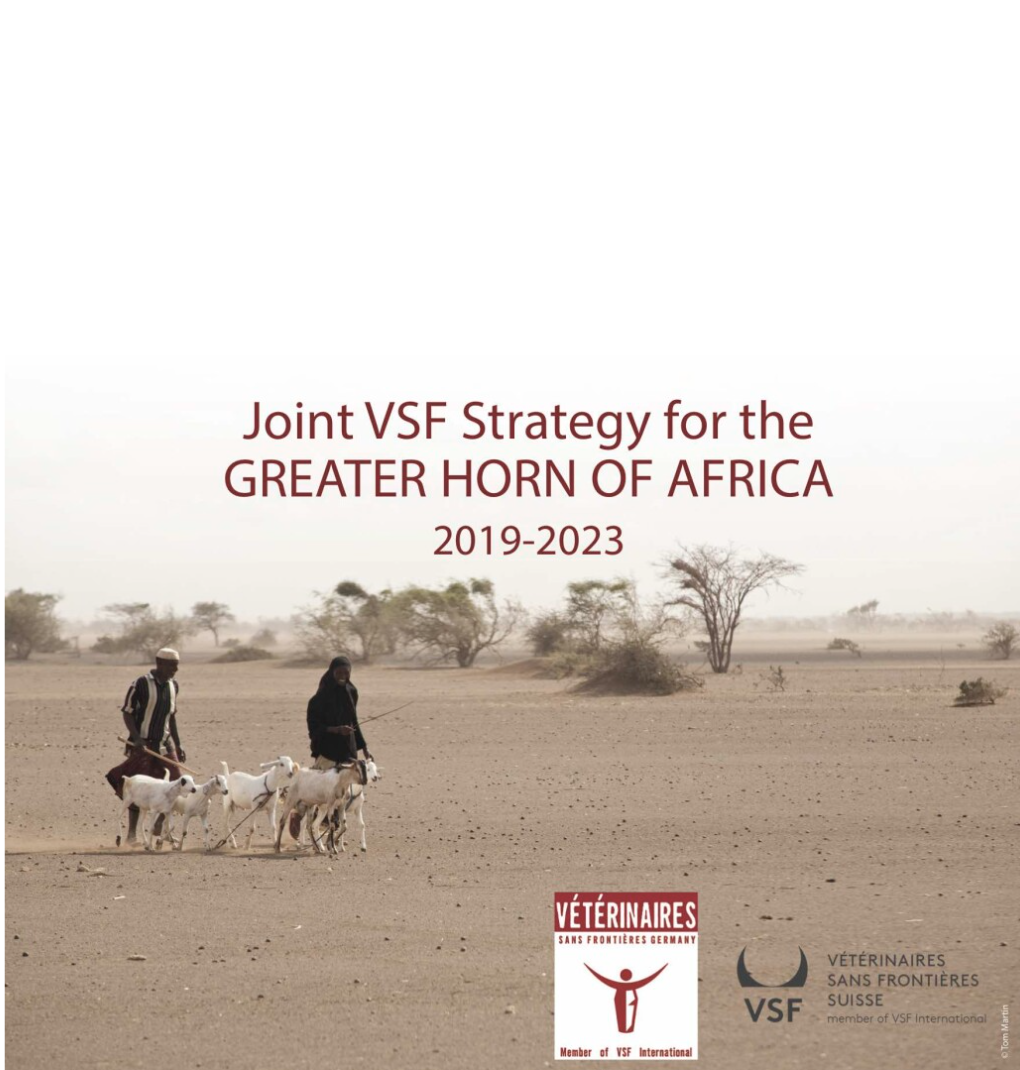 Joint VSF Strategy for the Greater Horn of Africa 2019-2023