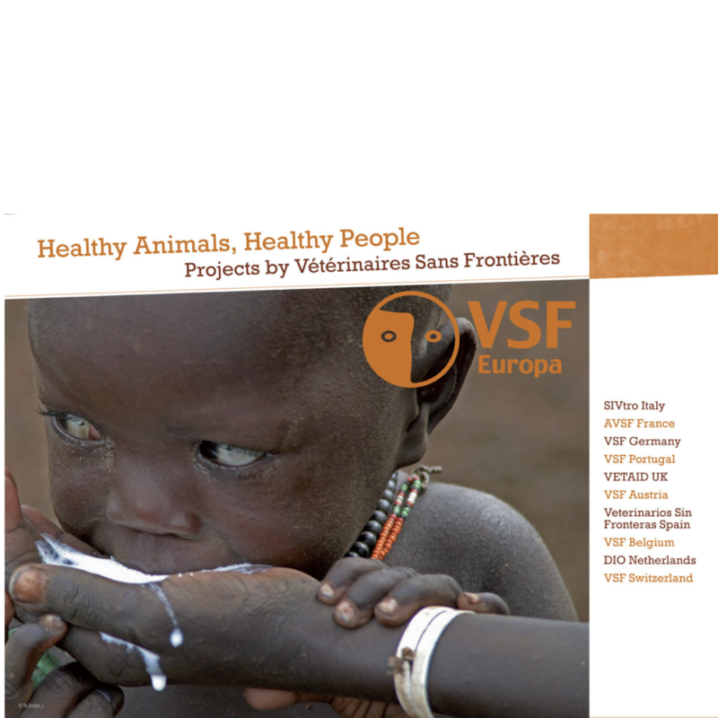 Brochure « Healthy animals, healthy people » : les projets de VSF