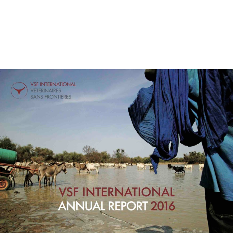 Rapport Annuel 2016