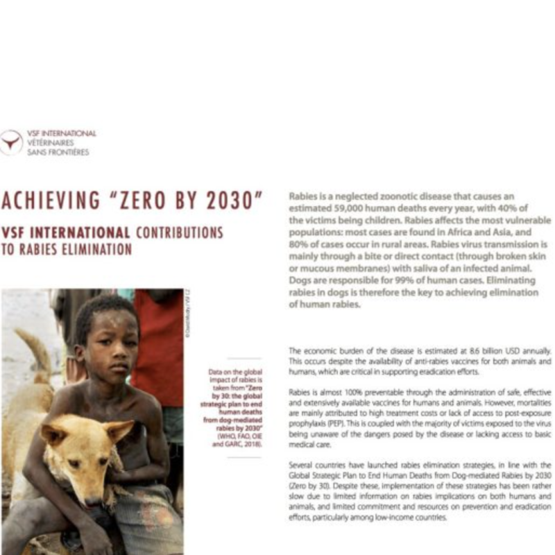 Achieving “Zero By 2030”. VSF International contributions to rabies elimination
