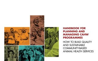 Handbook for planning and managing CAHW programmes