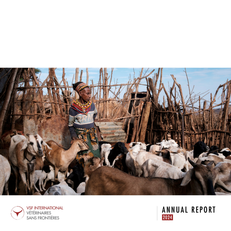 Annual Report 2024