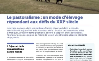 Le pastoralisme : un mode d’élevage répondant aux défis du XXIᵉ siècle